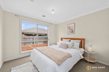 14 Anna Morgan Circuit, Bonner ACT 2914 - House For Rent | Domain - Photo 4