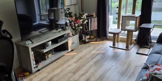 Appartement 3 1/2 A Louer Rapidement - Photo 3