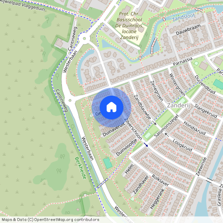 Zanderij, 2224 DT, Geelhartje, Katwijk