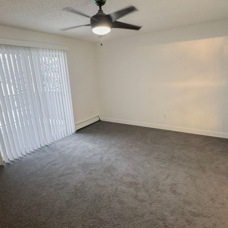 Stunning Fully Renovated Home With Walk In Shower & Soaker Tub In Millrise - Photo 1