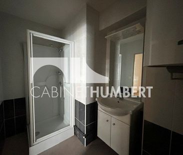 Location Appartement 1 pièce 29m² ST ETIENNE 42000 - Photo 2