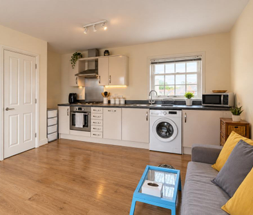 1 bedroom studio to rent - Photo 3