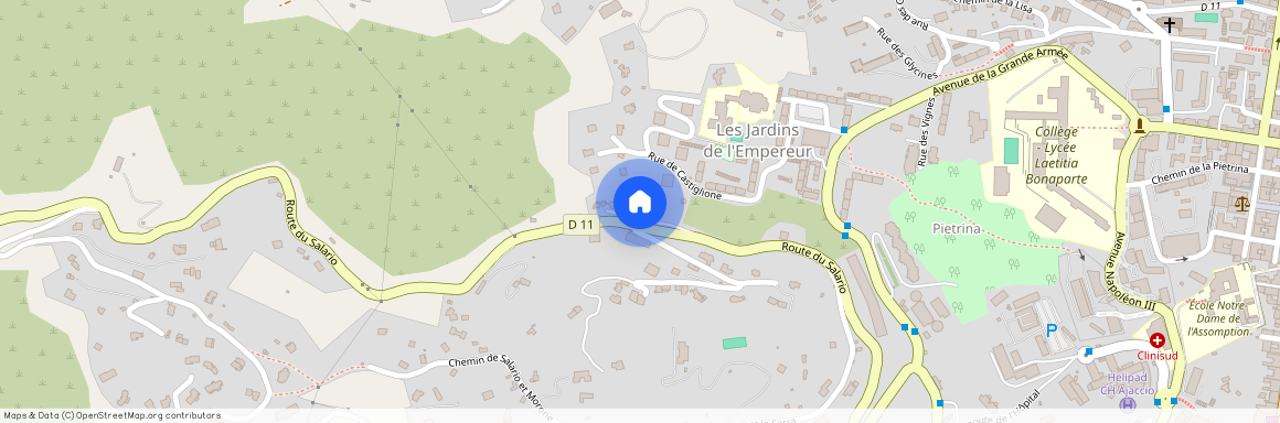 CORSE-DU-SUD (2A), AJACCIO (20000)