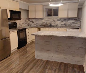 For Lease - 55 Hawkins Drive Unit# Basement, Barrie, Ontario - Photo 4