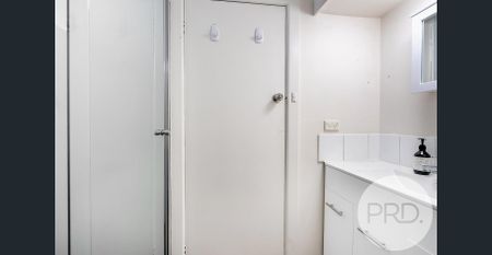 Renovated Studio Apartment - Photo 5