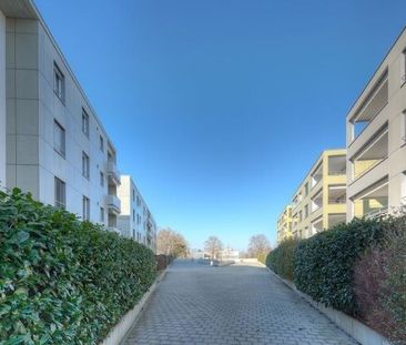 PERFECT FOR SINGLES - Photo 1