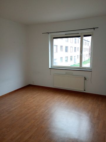 Ekbacken, Asarum - Foto 2