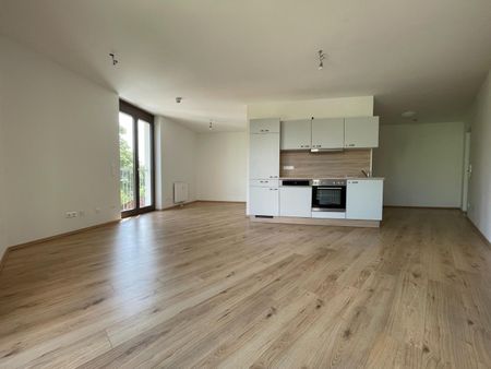 Top Geförderte Mietwohnung mit Balkon - Vinzenz Muchitsch Straße TOP 13, [GF,ViMu] - Foto 3