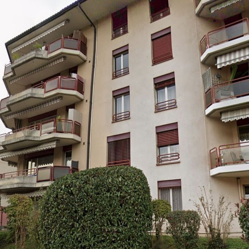 2-ROOM APARTMENT IN CORSIER-SUR-VEVEY (VD), FURNISHED, TEMPORARY RENTAL - Photo 1