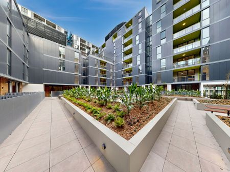 142/7 Letitia Street, Zetland NSW 2017 - Apartment For Rent | Domain - Photo 4