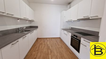 15454 NEUER PREIS! VIEL PLATZ! - Photo 4