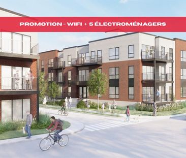 Appartement Salaberry-de-Valleyfield À Louer - Photo 1