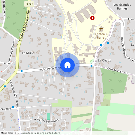 54 ROUTE DE COLLONGES, ST CYR AU MONT D OR, Lyon