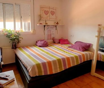 Palafrugell - Photo 4
