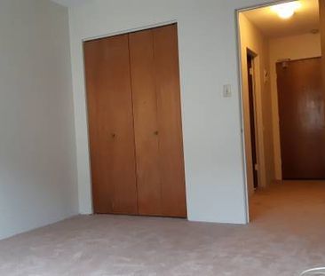 1BR Marpole - Photo 2