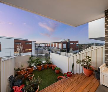 15/221 John Gorton Drive, Wright ACT 2611 - Townhouse For Rent | Do... - Photo 4