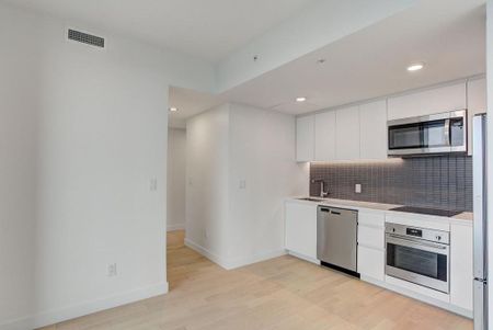 Appartement à louer - Montréal (Ville-Marie) (Centre) - Photo 5