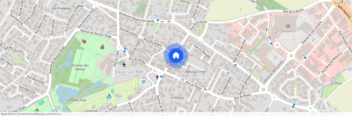 Vaux sur mer (17640)