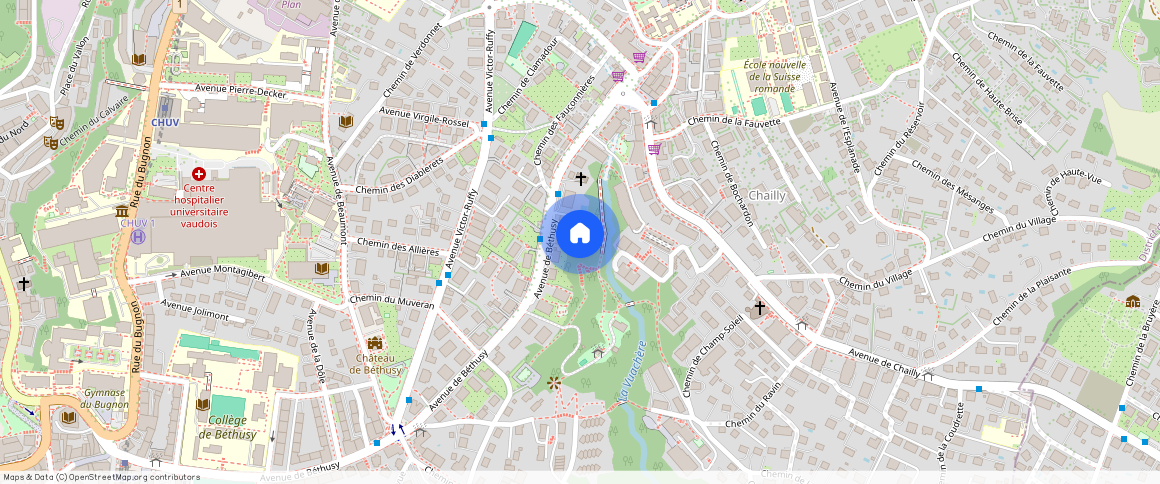 Avenue de Béthusy **, 1012, Lausanne