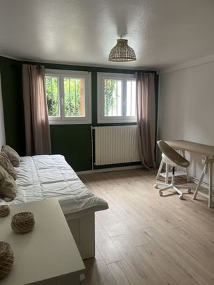 Location Appartement 1 pièce 20m² TOULOUSE 31500 - Photo 1