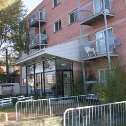 Appartement 2 chambres à louer Pointe-aux-Trembles à 13900-13910 Sherbrooke Est - Photo 2