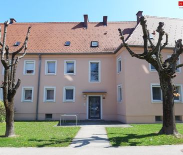 Fantastische Wohnatmosphäre in sonniger 3-immer-Wohnung wird gebote... - Photo 6