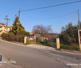 Μονοκατοικία για ενοικίαση - Βέροια, - Φωτογραφία 6