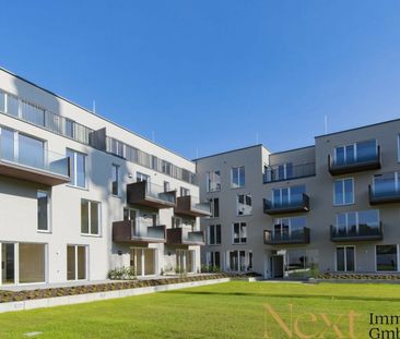 Moderne 2-Zimmer-Wohnung mit hofseitigem Balkon nähe Hummelhofwald ... - Photo 5