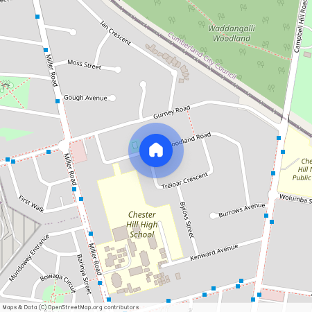 28 Woodland Road, NSW 2162, Chester Hill