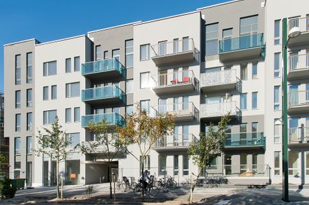 Linjetregatan 3, Västra Sorgenfri - Photo 2