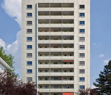 Living in a lively suburban neighborhood - Photo 6