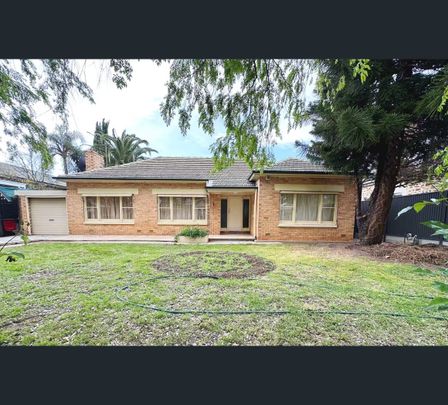 41 Eighth Ave, St Peters, SA 5069 - Photo 1