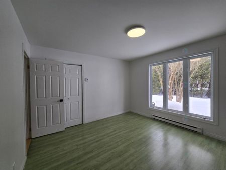 10110 Rue de Belle Rivière - Photo 5