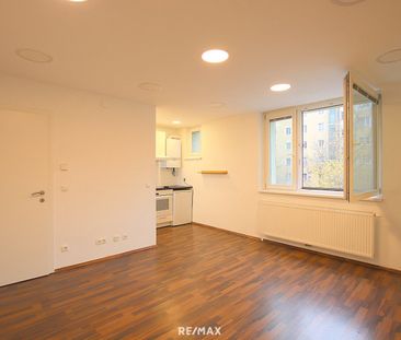 Kompakte 2-Zimmer Wohnung im Donau-Haus. Ruhig, hell, super Infrast... - Foto 5