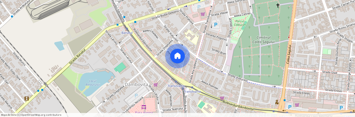 Timis, Timisoara