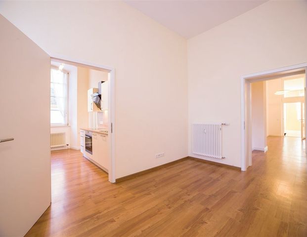 Große, exklusive barrierefreie Schlosswohnung mit modernen Einbauküchen, großem eigenem Garten, mehreren Tageslichtbädern und Park! - Foto 1