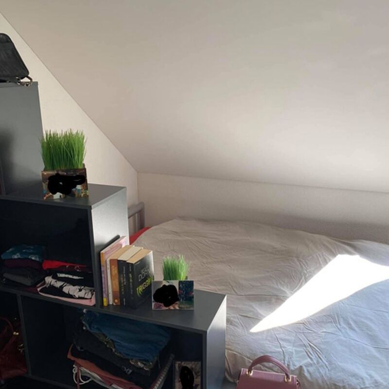 APPARTEMENT 31/2 PIÈCES À EMBRACH (ZH), MEUBLÉ, TEMPORAIRE - Foto 1