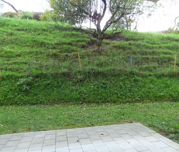 Your new living oasis with lake view and garden seating area - Photo 5