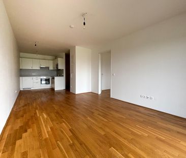 Viola Park | 2 Zimmer | Balkon | verfügbar ab Mai 2025 - Photo 2