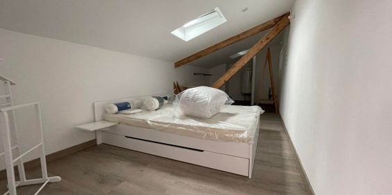 Location Appartement T3 Toulouse 2 chambres - Photo 3