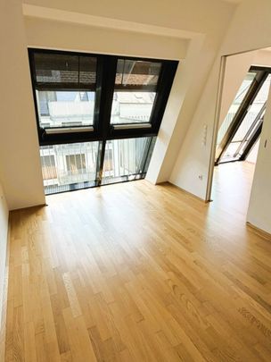 SINGLEAPARTMENT MIT SONNENTERRASSE IN U3-NÄHE - Photo 1