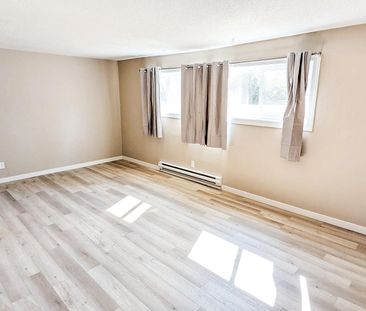 Forestview Heights Apartments - Photo 4
