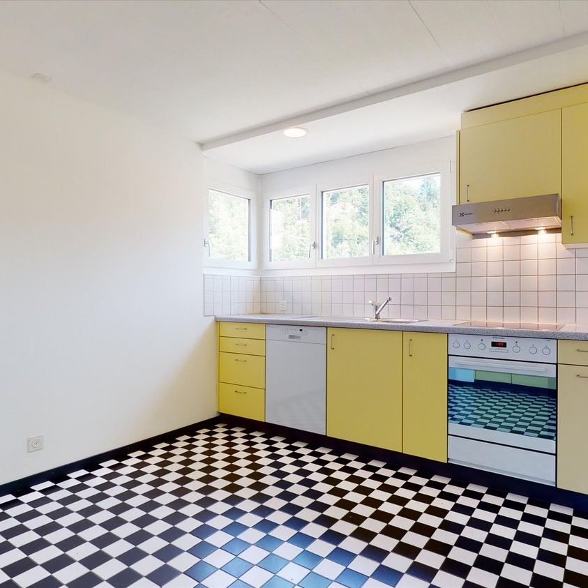 Schöne Duplexwohnung mit grosser Dachterrasse - Foto 1
