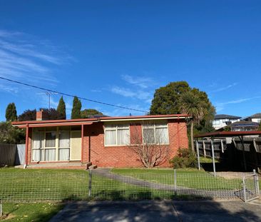 530 Waverley Road, Mount Waverley VIC 3149 - House For Rent | Domain - Photo 2