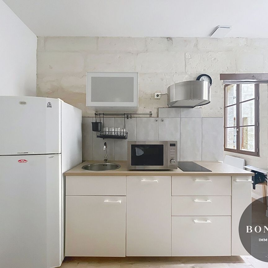 A LOUER AVIGNON (84000) INTRA-MUROS : charmant T1 BIS meublé - au coeur du centre ville !, - Photo 1