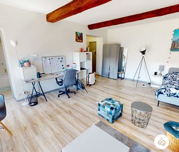 Location Appartement 1 pièce 47m² ALBI 81000 - Photo 3