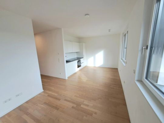 ++Neuwertige 3 Zimmer City-Wohnung mit Loggia im Zentrum von Linz++ - Photo 1