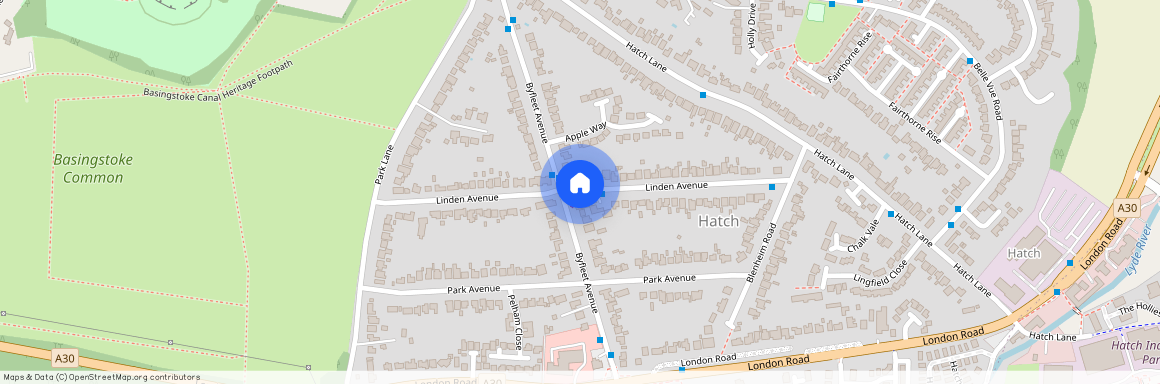 Linden Avenue, Basingstoke, RG24