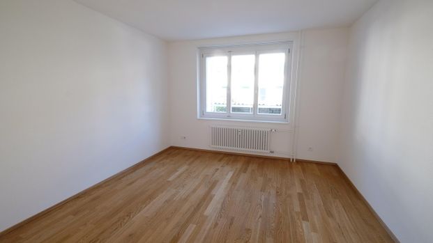Moderne Wohnung an ruhiger Lage - Foto 1