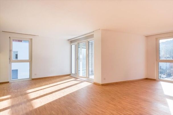 Living on the Ilfis (including free month) - Photo 1